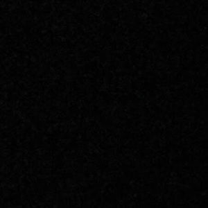 Meet your Posher, Bee